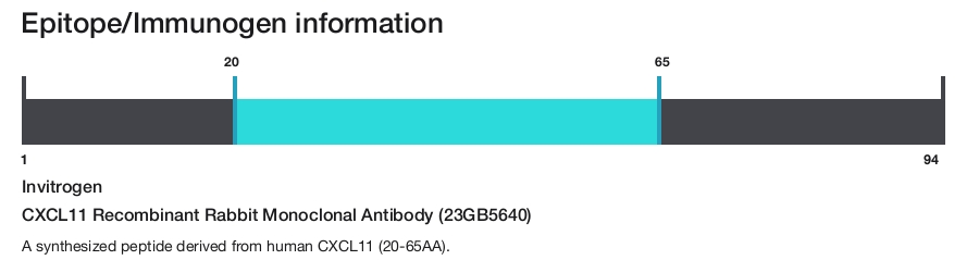 CXCL11 Recombinant Rabbit Monoclonal Antibody (23GB5640)