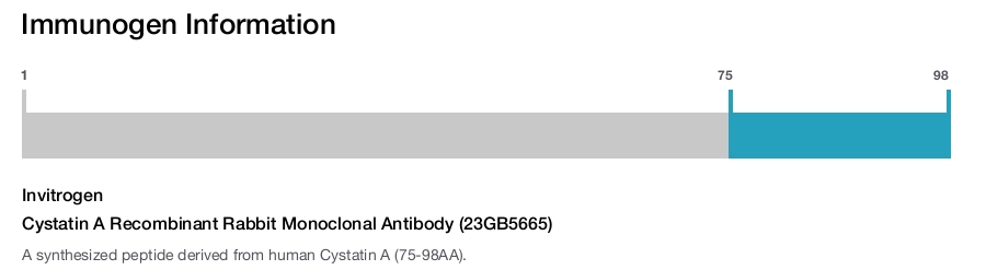 Cystatin A Recombinant Rabbit Monoclonal Antibody (23GB5665)