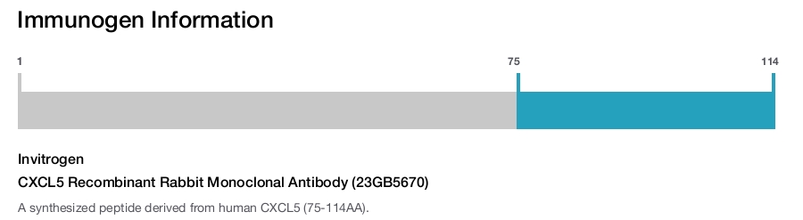 CXCL5 Recombinant Rabbit Monoclonal Antibody (23GB5670)