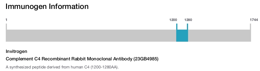 Complement C4 Recombinant Rabbit Monoclonal Antibody (23GB4985)