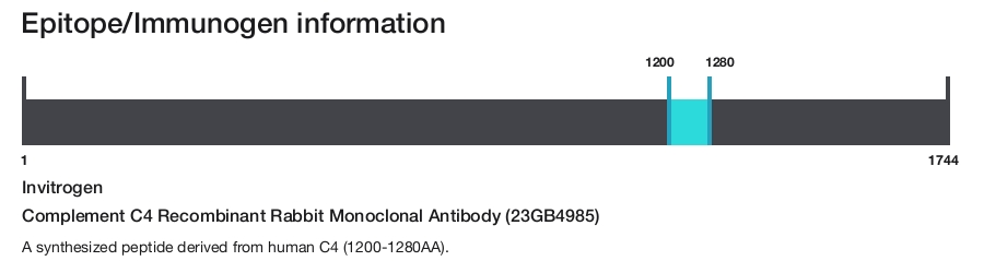 Complement C4 Recombinant Rabbit Monoclonal Antibody (23GB4985)