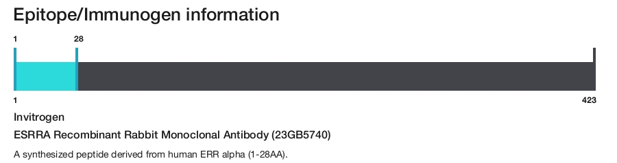 ESRRA Recombinant Rabbit Monoclonal Antibody (23GB5740)