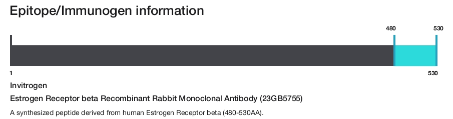 Estrogen Receptor beta Recombinant Rabbit Monoclonal Antibody (23GB5755)