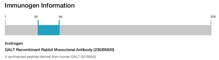 GALT Recombinant Rabbit Monoclonal Antibody (23GB5820)