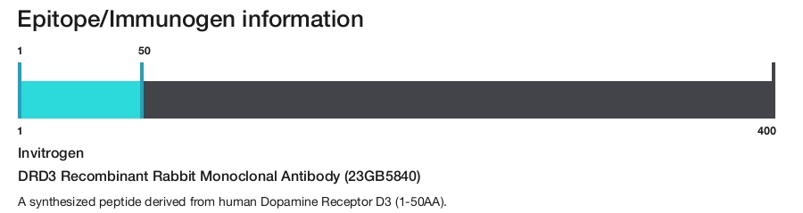 DRD3 Recombinant Rabbit Monoclonal Antibody (23GB5840)