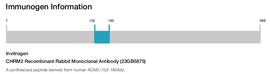 CHRM2 Recombinant Rabbit Monoclonal Antibody (23GB5875)