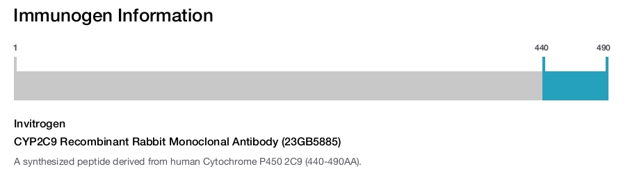 CYP2C9 Recombinant Rabbit Monoclonal Antibody (23GB5885)