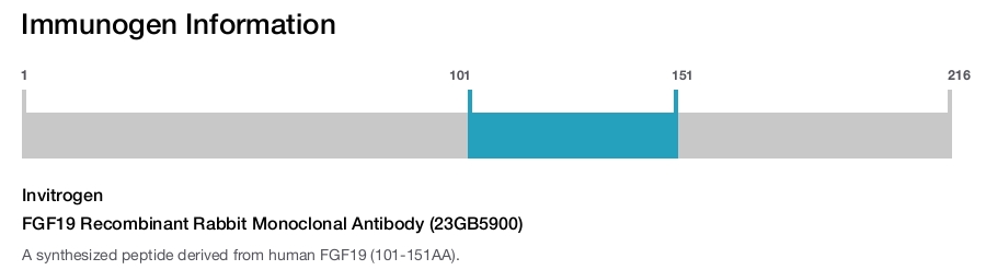 FGF19 Recombinant Rabbit Monoclonal Antibody (23GB5900)