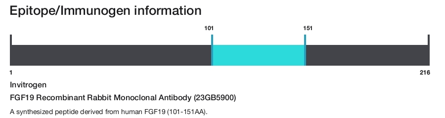 FGF19 Recombinant Rabbit Monoclonal Antibody (23GB5900)