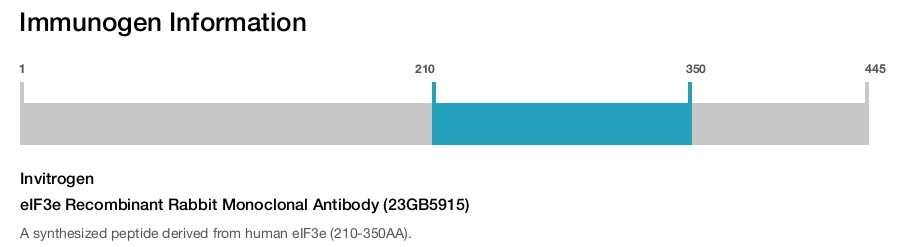 eIF3e Recombinant Rabbit Monoclonal Antibody (23GB5915)