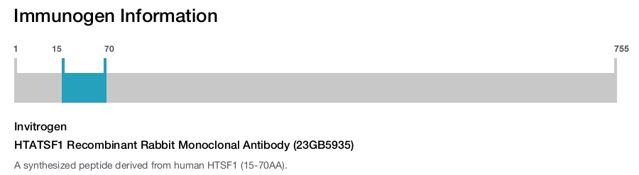 HTATSF1 Recombinant Rabbit Monoclonal Antibody (23GB5935)