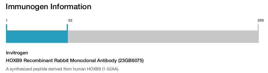 HOXB9 Recombinant Rabbit Monoclonal Antibody (23GB6075)