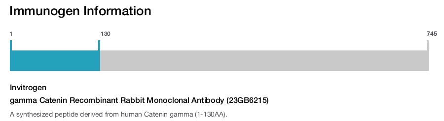 gamma Catenin Recombinant Rabbit Monoclonal Antibody (23GB6215)