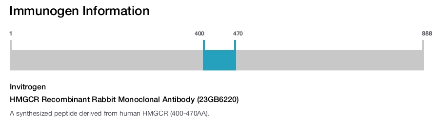 HMGCR Recombinant Rabbit Monoclonal Antibody (23GB6220)