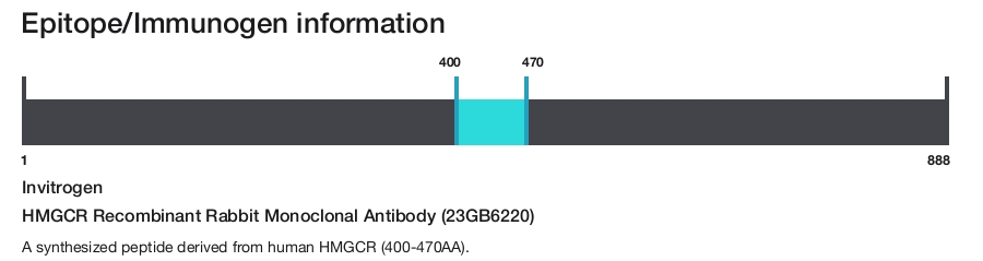 HMGCR Recombinant Rabbit Monoclonal Antibody (23GB6220)