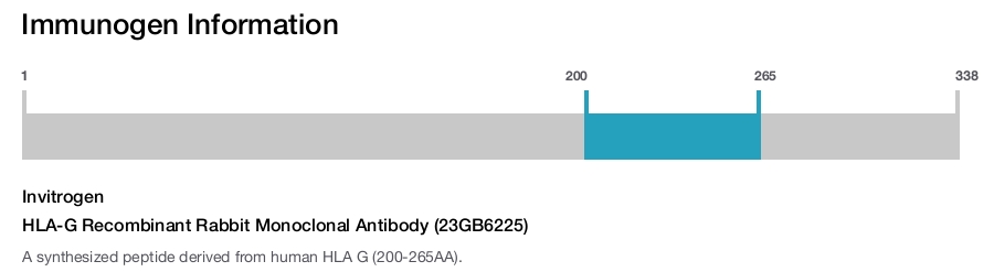 HLA-G Recombinant Rabbit Monoclonal Antibody (23GB6225)