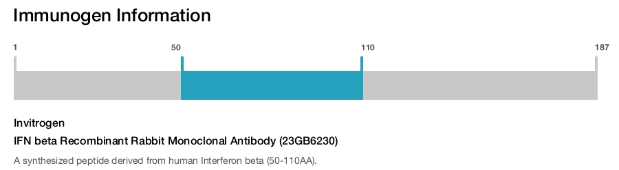 IFN beta Recombinant Rabbit Monoclonal Antibody (23GB6230)