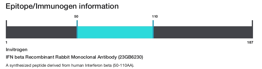 IFN beta Recombinant Rabbit Monoclonal Antibody (23GB6230)