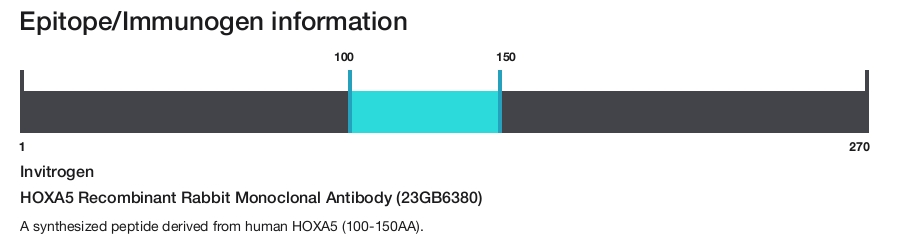 HOXA5 Recombinant Rabbit Monoclonal Antibody (23GB6380)