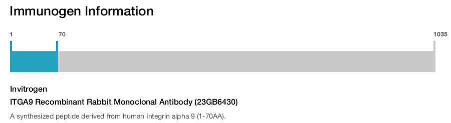 ITGA9 Recombinant Rabbit Monoclonal Antibody (23GB6430)