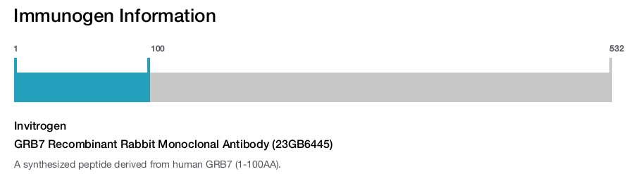 GRB7 Recombinant Rabbit Monoclonal Antibody (23GB6445)