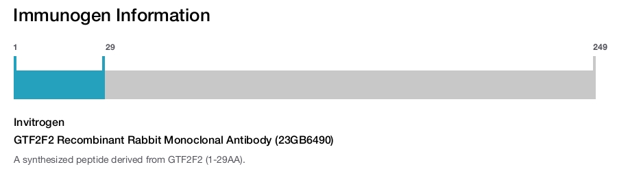 GTF2F2 Recombinant Rabbit Monoclonal Antibody (23GB6490)