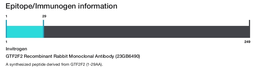 GTF2F2 Recombinant Rabbit Monoclonal Antibody (23GB6490)
