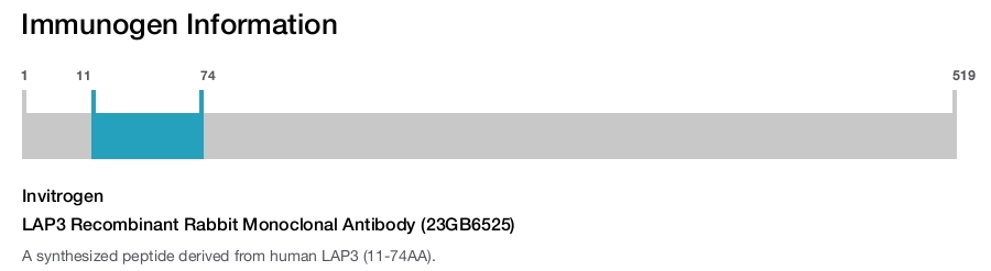 LAP3 Recombinant Rabbit Monoclonal Antibody (23GB6525)
