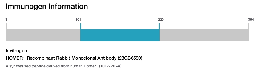 HOMER1 Recombinant Rabbit Monoclonal Antibody (23GB6590)