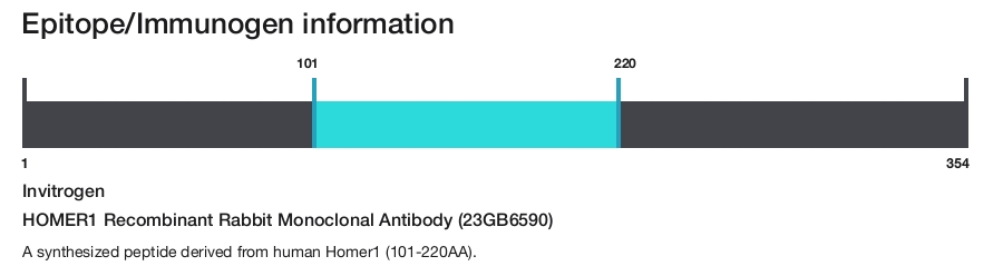 HOMER1 Recombinant Rabbit Monoclonal Antibody (23GB6590)
