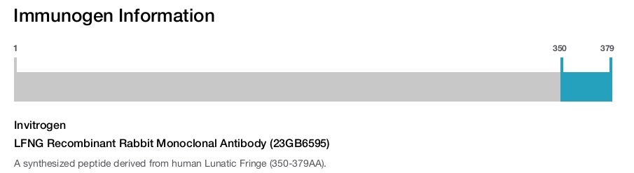 LFNG Recombinant Rabbit Monoclonal Antibody (23GB6595)
