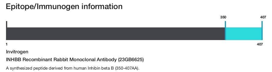 INHBB Recombinant Rabbit Monoclonal Antibody (23GB6625)