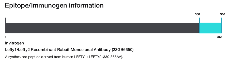 Lefty1/Lefty2 Recombinant Rabbit Monoclonal Antibody (23GB6650)