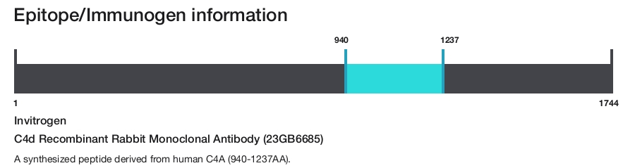 C4d Recombinant Rabbit Monoclonal Antibody (23GB6685)
