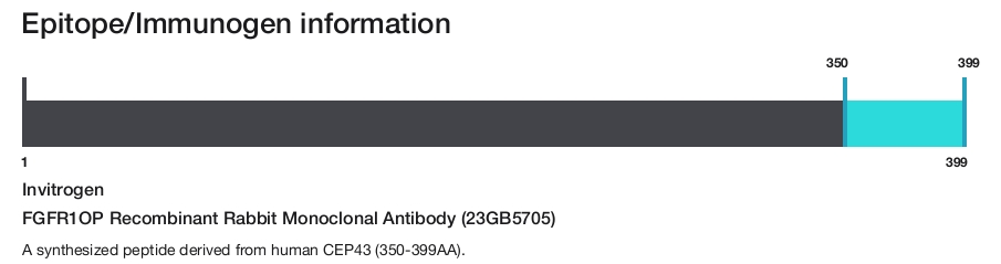 FGFR1OP Recombinant Rabbit Monoclonal Antibody (23GB5705)