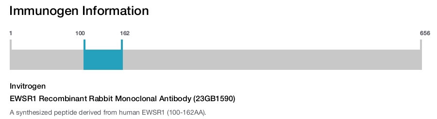 EWSR1 Recombinant Rabbit Monoclonal Antibody (23GB1590)