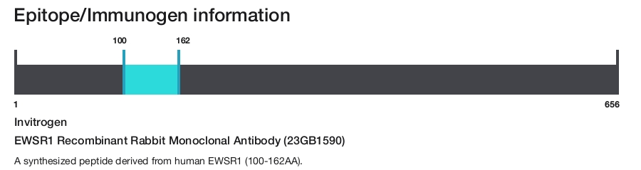EWSR1 Recombinant Rabbit Monoclonal Antibody (23GB1590)