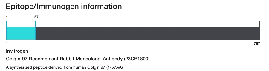 Golgin-97 Recombinant Rabbit Monoclonal Antibody (23GB1800)