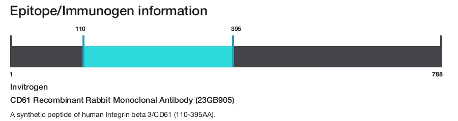 CD61 Recombinant Rabbit Monoclonal Antibody (23GB905)