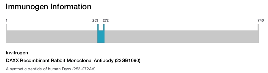 DAXX Recombinant Rabbit Monoclonal Antibody (23GB1090)