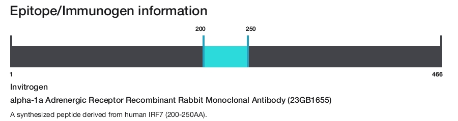 alpha-1a Adrenergic Receptor Recombinant Rabbit Monoclonal Antibody (23GB1655)