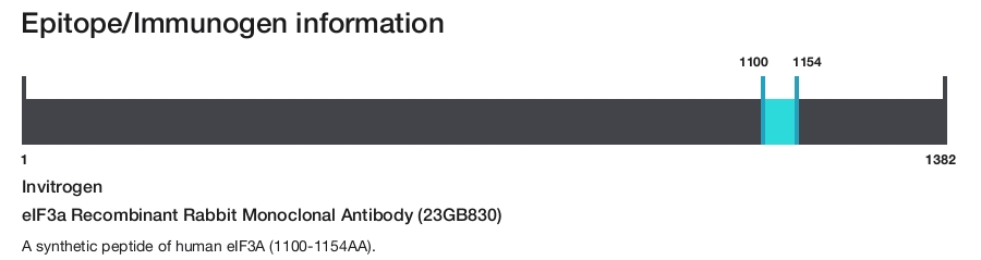 eIF3a Recombinant Rabbit Monoclonal Antibody (23GB830)