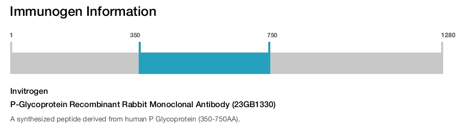 P-Glycoprotein Recombinant Rabbit Monoclonal Antibody (23GB1330)