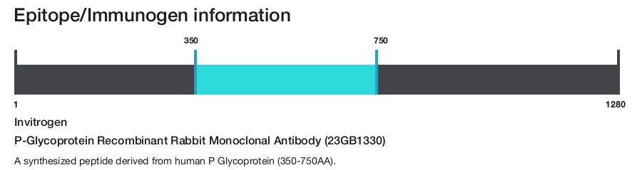 P-Glycoprotein Recombinant Rabbit Monoclonal Antibody (23GB1330)