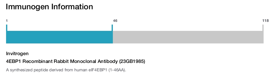 4EBP1 Recombinant Rabbit Monoclonal Antibody (23GB1985)