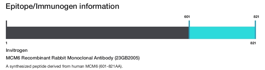 MCM6 Recombinant Rabbit Monoclonal Antibody (23GB2005)
