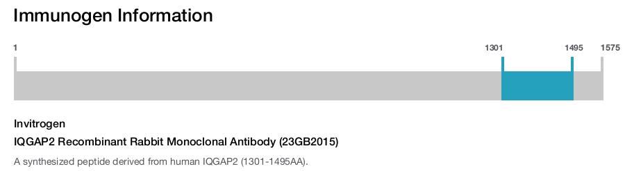 IQGAP2 Recombinant Rabbit Monoclonal Antibody (23GB2015)