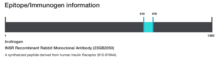 INSR Recombinant Rabbit Monoclonal Antibody (23GB2050)