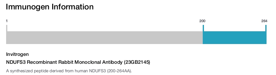 NDUFS3 Recombinant Rabbit Monoclonal Antibody (23GB2145)