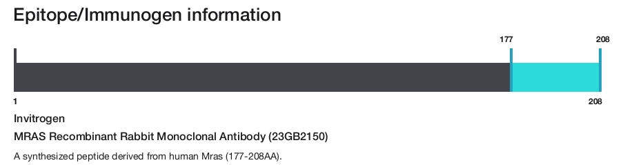 MRAS Recombinant Rabbit Monoclonal Antibody (23GB2150)